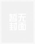 海贼之冰凤横空